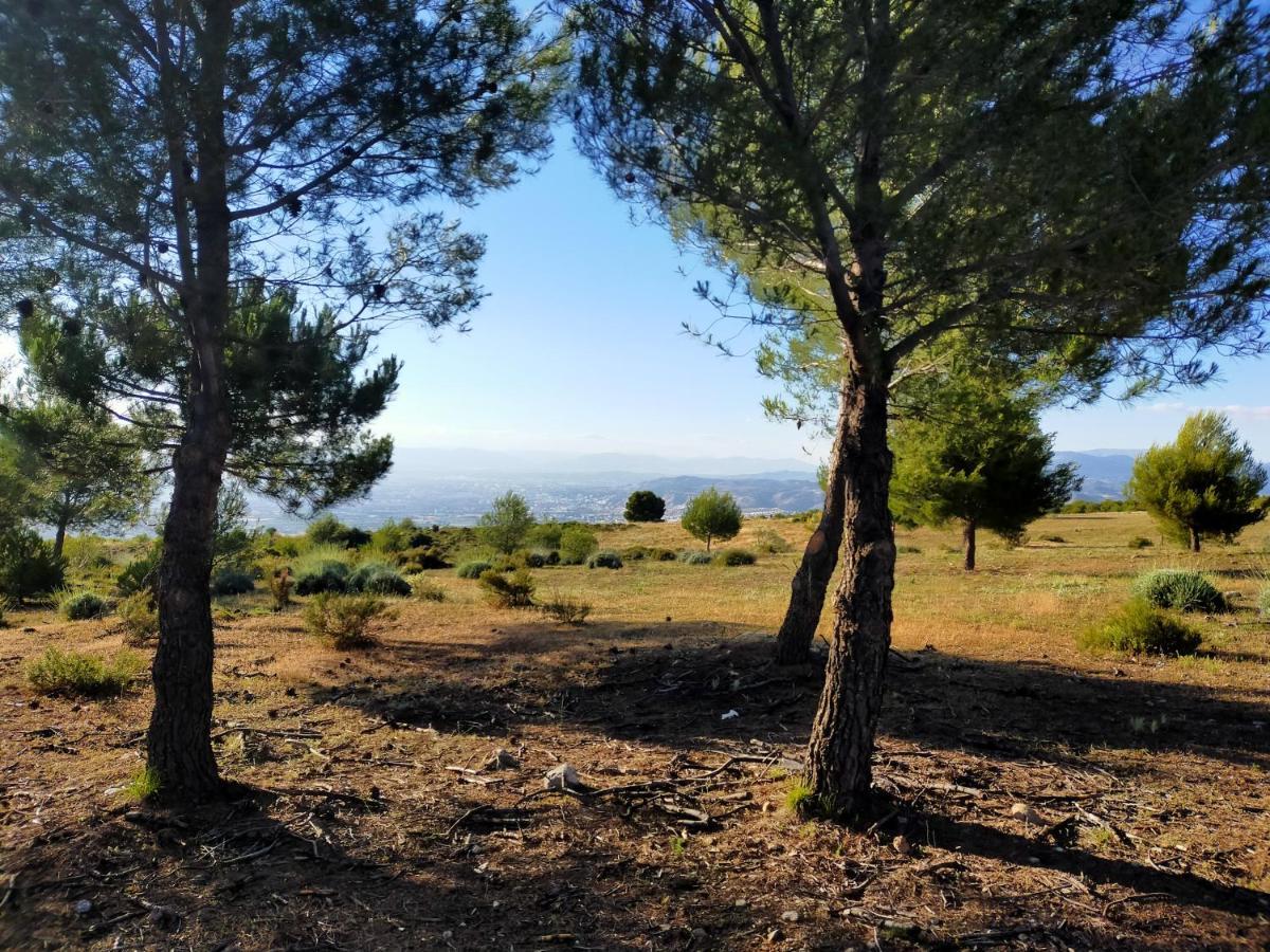 El Mirador De Granada Lägenhet La Zubia  Exteriör bild